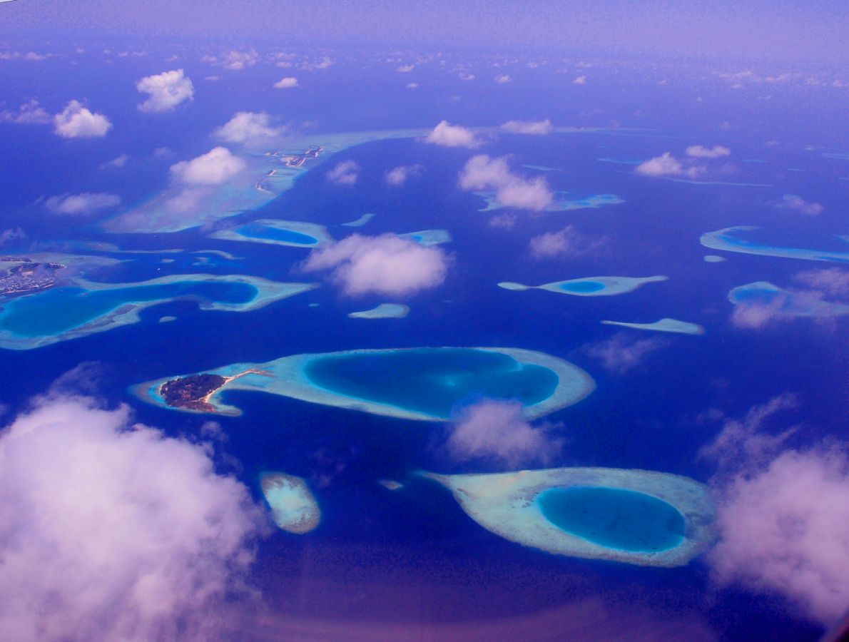 Maldives (15).jpg