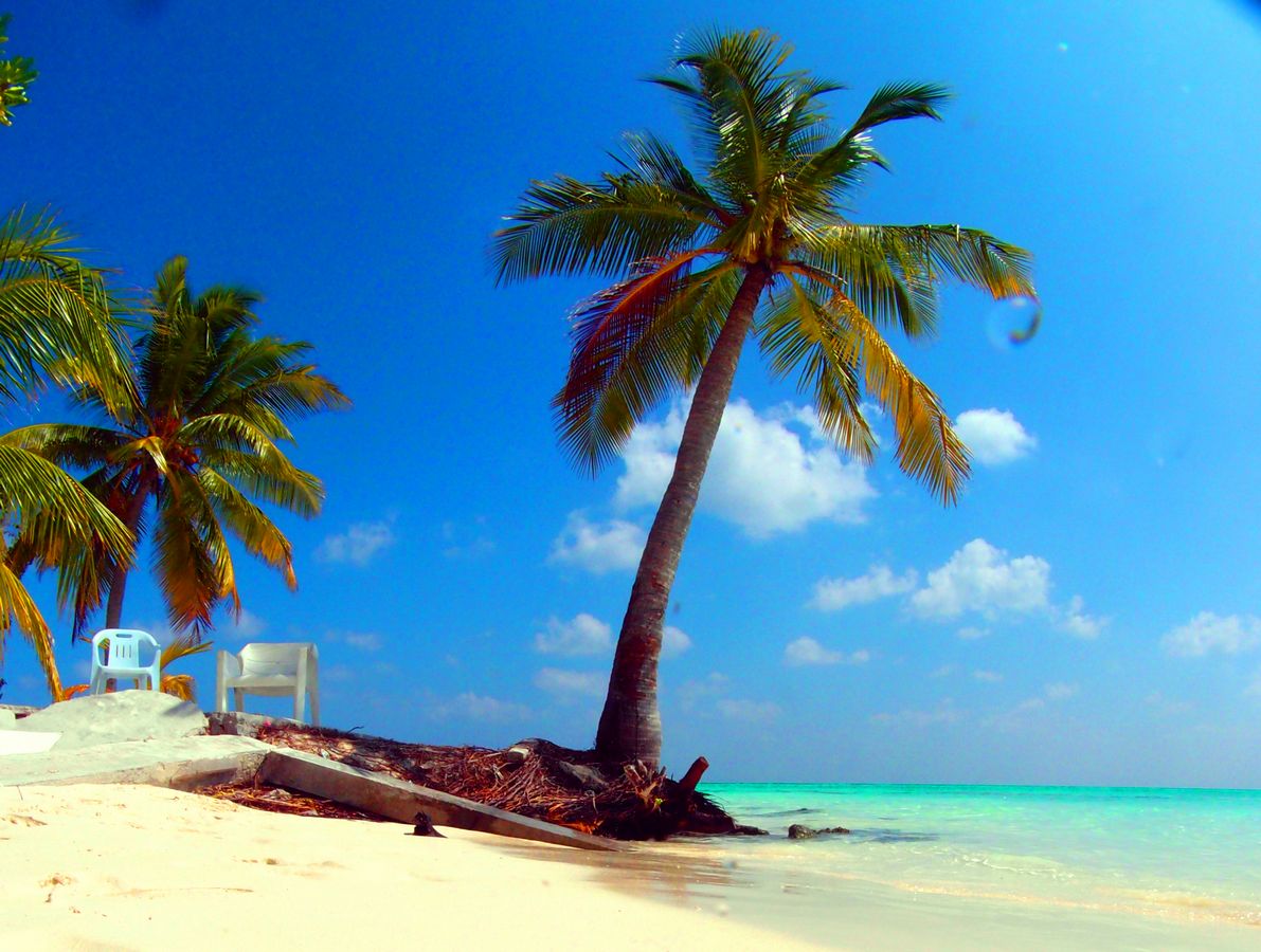 Maldives (6).jpg