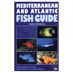 מדריך דגים של דבליוס