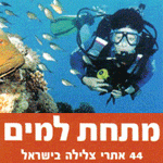 מתחת למים - 44 אתרי צלילה בישראל